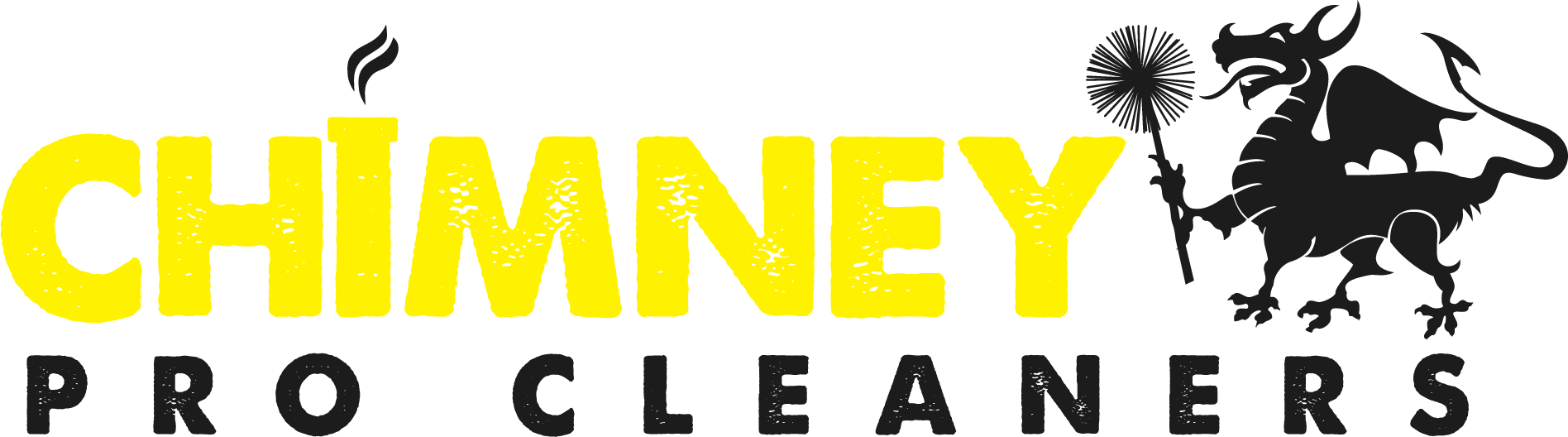 Chimney Pro Cleaners
